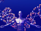 Buy Human Genome at AllPosters.com