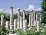 Buy Ionic Columns, Aphrodisias, Turkey at AllPosters.com