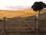 Buy Rural Area, Canta Galo, Atlantic Wood, Rj Brazil at AllPosters.com