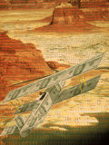 Money Plane Flying Over Landscape with Binary Code