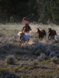 Buy Cowboys Rounding Up Horses at AllPosters.com