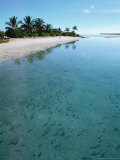 Ari Atoll, White Sands Island and Resort Photographic Print