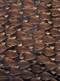 Dried and Filleted Fish, Nazare, Spain