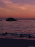 Cruise Ships and Sea Lions, Galapagos Islands
