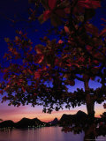 Buy Sugar Loaf, Guanabara Bay, Rio de Janeiro at AllPosters.com