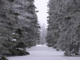 Winnipeg Manitoba, Canada Winter Scenes