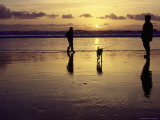 Buy Family with Dog at Sunset, Cape Sebastian, OR at AllPosters.com