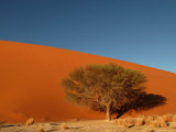 Buy Sand Dunes of Sossusvlei, Namib Desert, Namibia at AllPosters.com
