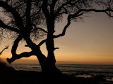 Buy Big Island of Hawaii - Sunset from Beach at AllPosters.com