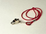 Whistle