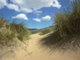 Sand Dune and Marram Grass, Ireland