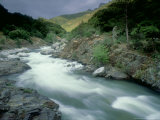 Buy Kaweah River, Sierra Nevada, USA at AllPosters.com