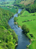 Buy View from Symonds Yat, Gloucestershire, UK at AllPosters.com
