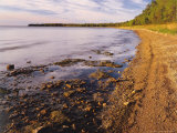Buy Morning Light on the Shore of Green Bay at Europe Bay County Park, Wisconsin, USA at AllPosters.com