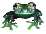 Buy Glass Frog, Panama at AllPosters.com