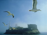 Alcatraz Prison, California, USA