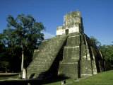 Buy Mayan Ruins at Tikal, El Peten, Guatemala at AllPosters.com