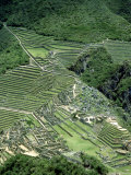 Buy Machu Picchu Inca Ruins & Terracing Viewed from Huayna Picchu, Peru at AllPosters.com