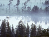 Buy Lake at Dawn in the Mist, Kuusamo Area, Northeast Finland at AllPosters.com