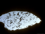 Buy Mexican Free-Tailed Bats, Carlsbad Cavern, USA at AllPosters.com