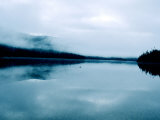 Buy Common Loon, Swimming on a Lake, Quebec, Canada at AllPosters.com