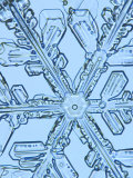 Buy Snowflake, Close Up at AllPosters.com
