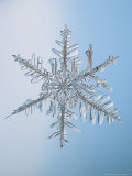Buy Snowflake, Close Up at AllPosters.com
