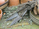 Buy Topiary Shears, Gardening Gloves and Terracotta Pots on Potting Bench at AllPosters.com