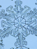 Buy Snowflake, Close Up at AllPosters.com