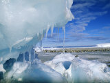 Buy View Through an Icy Pressure Ridge of Emperor Penguin Colony on Weddell Sea, Dawson Lambton Glacier at AllPosters.com