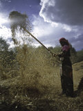 Buy Woman with Straw, Tibet at AllPosters.com