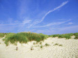 Buy Beach and Dunes with Marram Grass, Dorset, UK at AllPosters.com