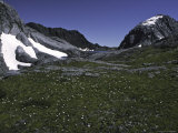 Buy Blooming Grassland Surrounded by Mountains, Chile at AllPosters.com