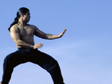 Buy Martial Arts Posture at AllPosters.com