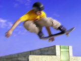 Buy Skateboarder in Motion at AllPosters.com