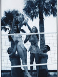 Buy Co-ed Volleyball at AllPosters.com