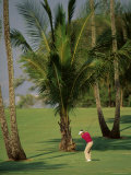 Buy Maui Country Club, Maui, Hawaii, USA at AllPosters.com
