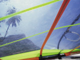 Buy Close-up Image of a Windsurfing Sail at AllPosters.com