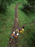 High Angle View of a Young Couple Hiking on a Forest Trail