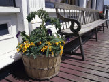 Buy Bench on a Front Porch at AllPosters.com