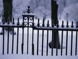 Metal Fence in a Snow Covered Landscape