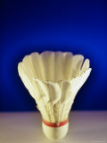 Shuttlecock