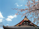 Buy Japan at AllPosters.com