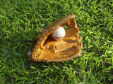 Baseball in Glove on Grass