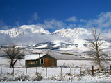 Buy Lee Vining, California, USA at AllPosters.com