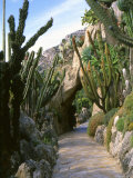 Monaco Exotic Garden, Monte Carlo, Monaco