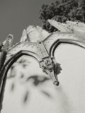 Buy Rome, Italy at AllPosters.com