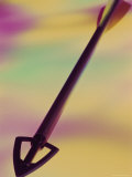 Close-up of a Dart