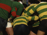 Buy Rugby at AllPosters.com
