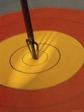 Dart on the Bull's-Eye of a Dart Board